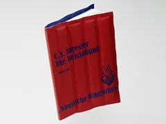 Das rote Badewannenbuch stehend, mit Titel „C. S. Forester – Die Reisladung“
