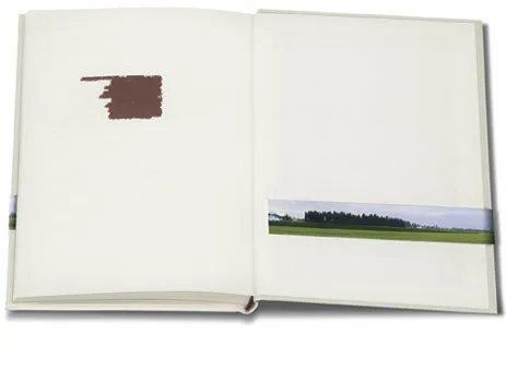 Hinterer Vorsatz mit kleinem dunklem Fleck und schmalem Landschaftsfoto
